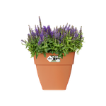 vibia campana vierkant 30cm terra